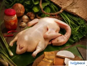 Cách Làm Vịt Nấu Chao Mềm, Ngon, Béo Ngậy Không Hôi Mùi Vịt •