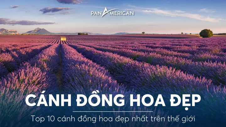 Top 10 Cánh Đồng Hoa Đẹp Nhất Trên Thế Giới - Pan American Travel