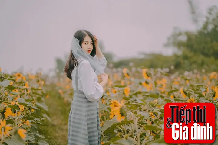 Thảo Nguyên Hoa Long Biên
