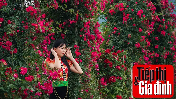 Vườn Hoa Đẹp Nhất Việt Nam- Sun World Fansipan Legend