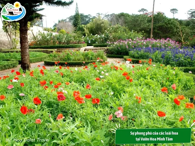 Sự Phong Phú Của Các Loài Hoa
