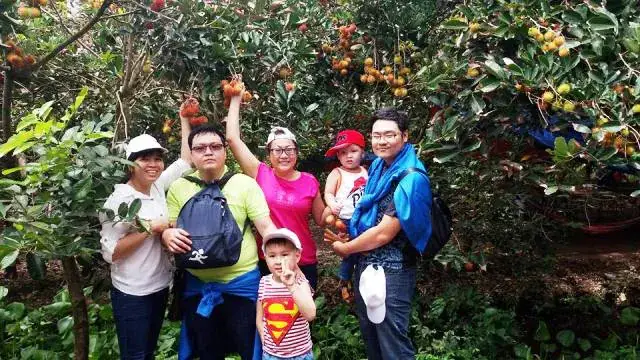 Tour Vườn Trái Cây Bến Tre Tiền Giang