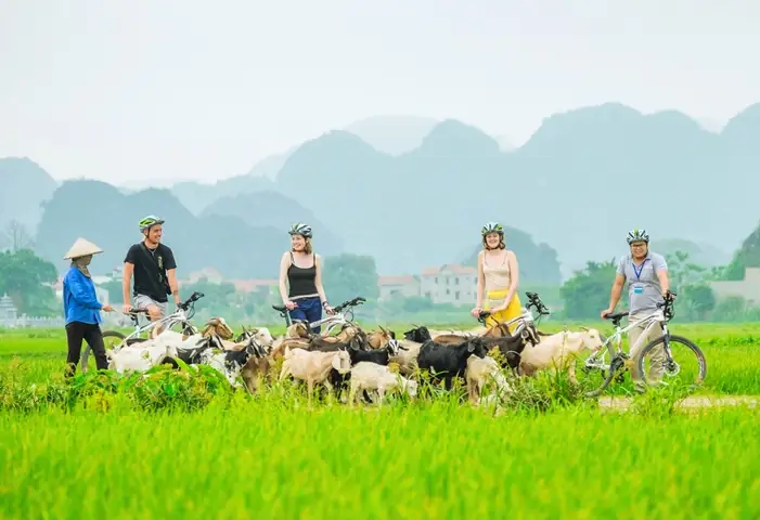 Wandering Around Ninh Binh Bicycle