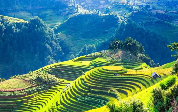 About Mu Cang Chai