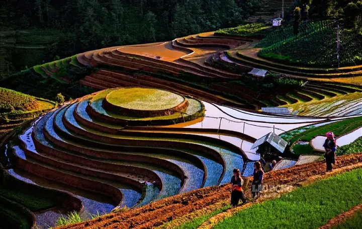 Mùa Nước Chảy - The Watering Season
