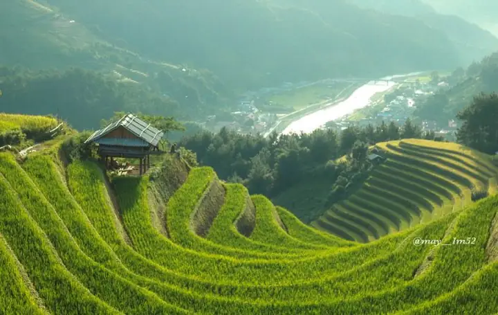 Mùa Xanh Tháng 8 - Green Season In August