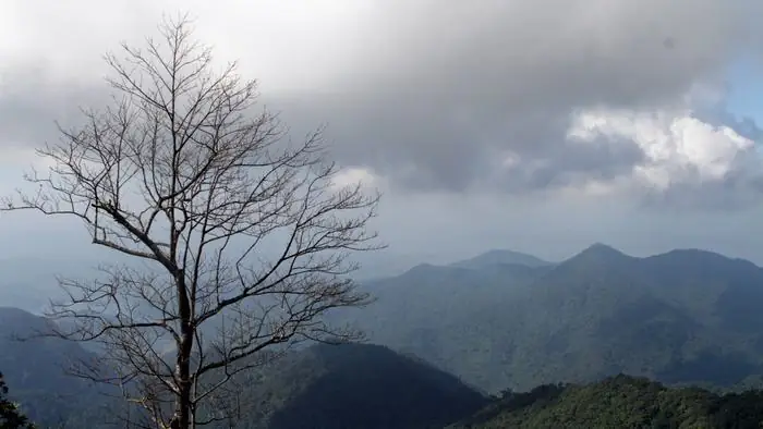 Northeast Monsoon Northeast Monsoon