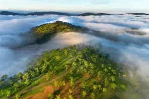 Best Time To Visit Vietnam | Weather By Month | Rough Guides