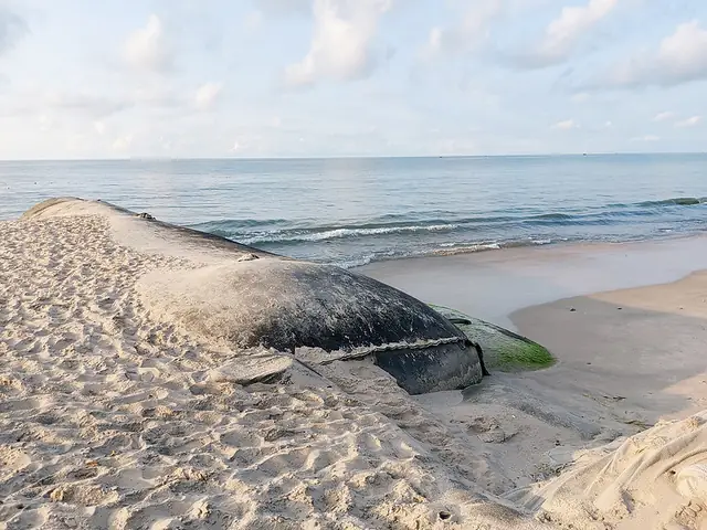 Ham Tien Beach