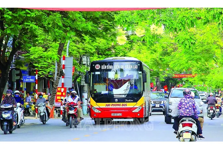 Lịch Hoạt Động Của Các Tuyến Xe Buýt Trên Địa Bàn Thành Phố Hải ...