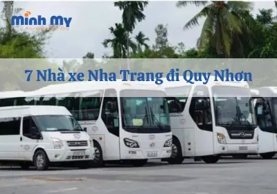 Xe Hồng Ngọc Nha Trang Tam Quan: Dịch Vụ Vận Tải Uy Tín 
