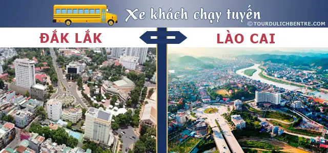 Có Thể Bạn Quan Tâm