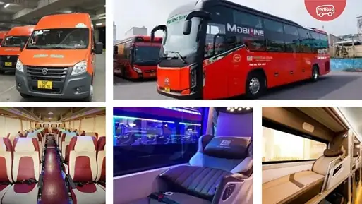 Nhà Xe Phương Trang Biên Hòa, Đồng Nai