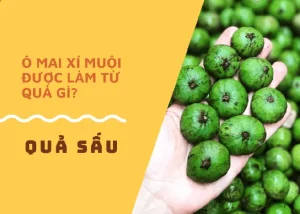 Ô Mai Xí Muội Được Làm Từ Trái Sấu