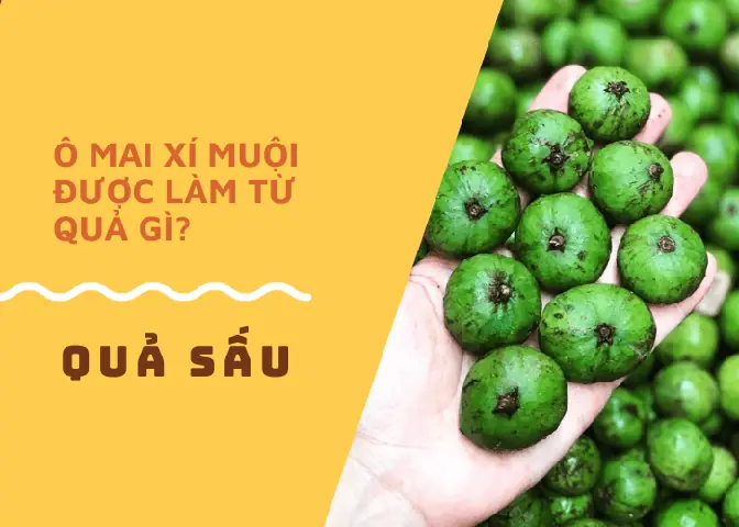 Ô Mai Xí Muội Được Làm Từ Trái Sấu