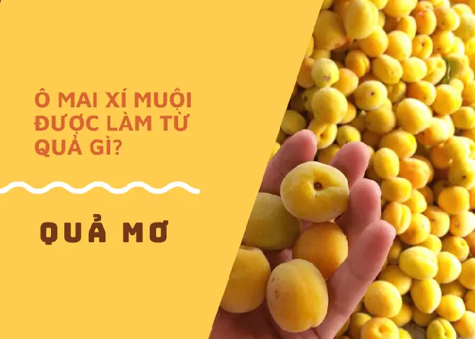 Ô Mai Xí Muội Được Làm Từ Trái Mơ