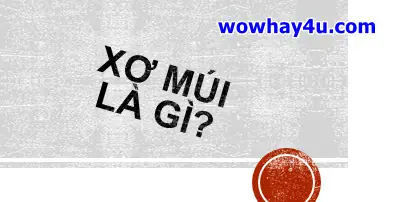 Xơ Múi Là Gì? Điều Đặc Biệt Về Xơ Múi Chưa Ai Biết - Wowhay4u