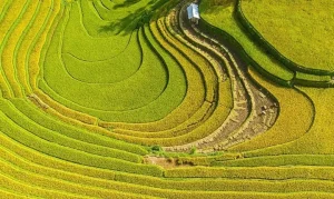 Đề Xuất Bổ Sung Sân Bay Yên Bái Vào Quy Hoạch Cảng Hàng Không ...