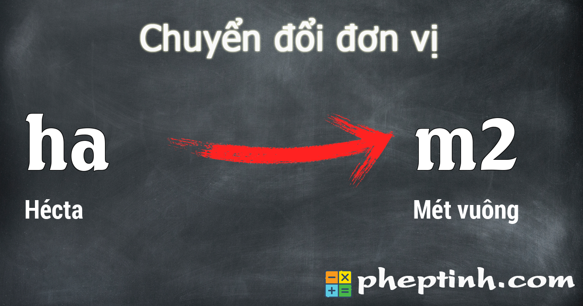 0 5 ha bằng bao nhiêu mét vuông - Hình 2