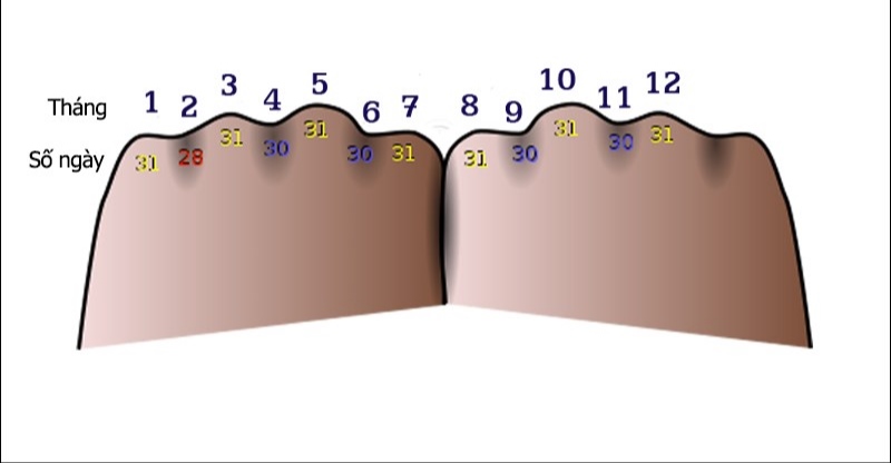 1 tháng có bao nhiêu ngày chủ nhật - Hình 2