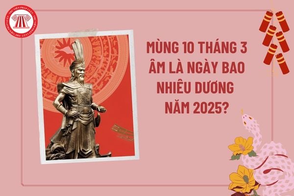 10 3 âm là ngày gì - Hình 4