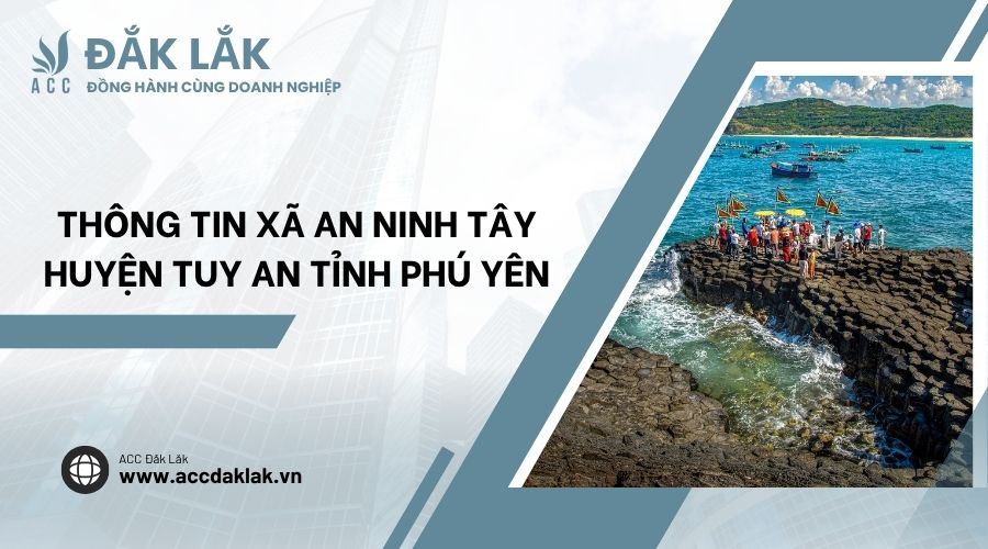 an ninh tây tuy an phú yên - Hình 2