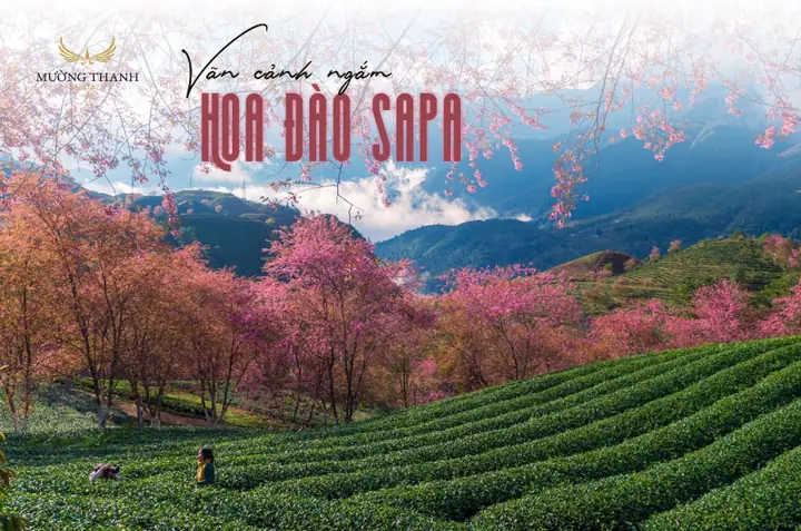 Bãi Biển Đà Nẵng: Khám Phá Những Điểm Đến Đáng Tin Cậy