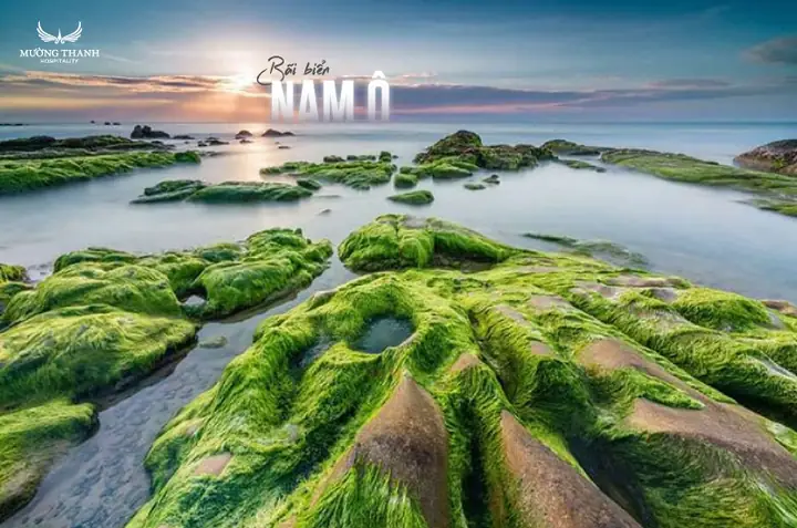 Bãi Biển Đà Nẵng: Khám Phá Những Điểm Đến Đáng Tin Cậy