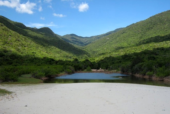 bãi biển nước ngọt ninh thuận - Hình 3