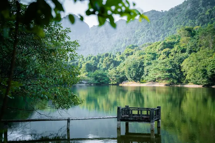 Bản Đồ Vườn Quốc Gia Cúc Phương: Cẩm Nang Trekking Và Điểm Tham Quan