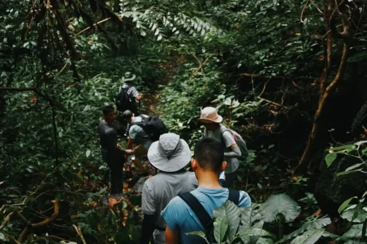 Bản Đồ Vườn Quốc Gia Cúc Phương: Cẩm Nang Trekking Và Điểm Tham Quan