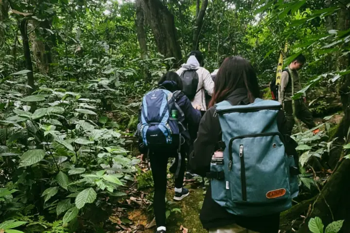 Bản Đồ Vườn Quốc Gia Cúc Phương: Cẩm Nang Trekking Và Điểm Tham Quan