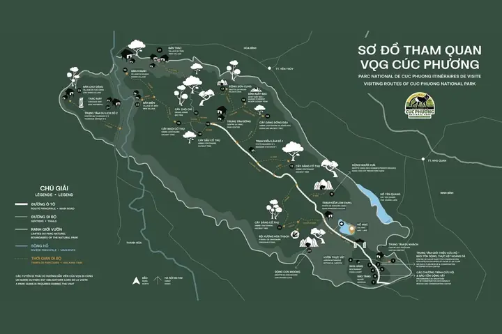 Bản Đồ Vườn Quốc Gia Cúc Phương: Cẩm Nang Trekking Và Điểm Tham Quan
