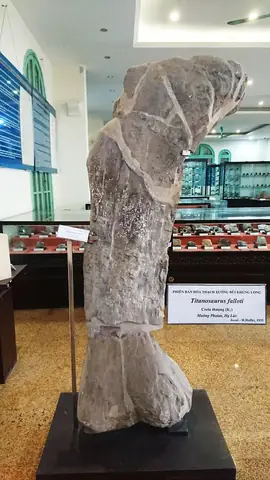 Bảo Tàng Địa Chất Hà Nội Review: Khám Phá Kho Báu Địa Chất Trái Đất