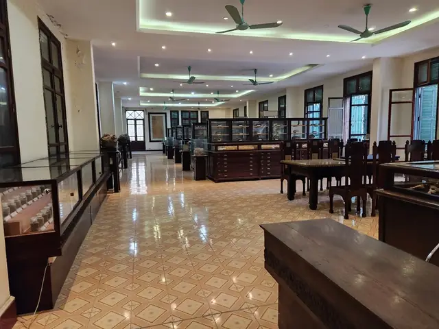 Bảo Tàng Địa Chất Hà Nội Review: Khám Phá Kho Báu Địa Chất Trái Đất