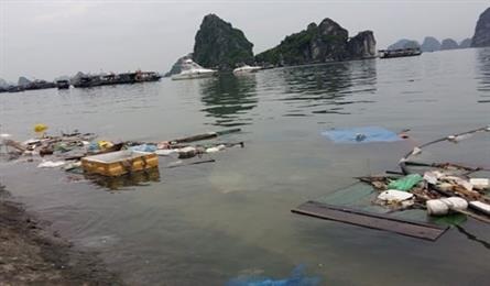 being overshadowed by ha long bay - Hình 2