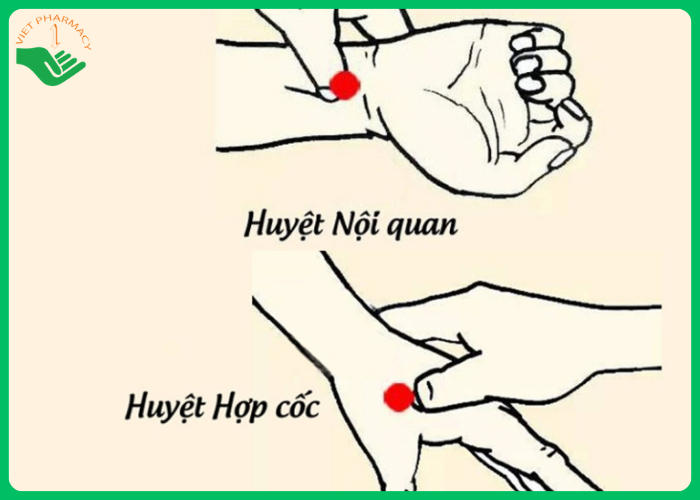 cách đi xe không bị say - Hình 4