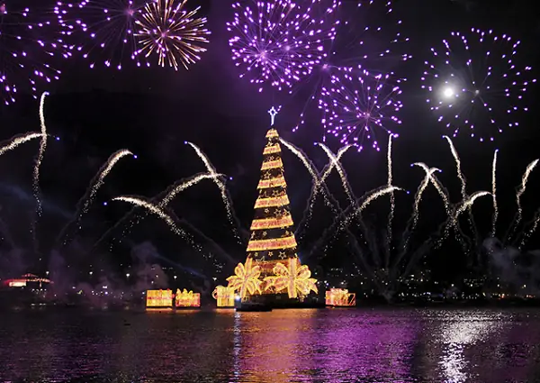 Cây Thông Noel Đẹp Nhất Thế Giới Là Gì? Cây Thông Noel Đẹp Nhất Thế Giới Là Gì?