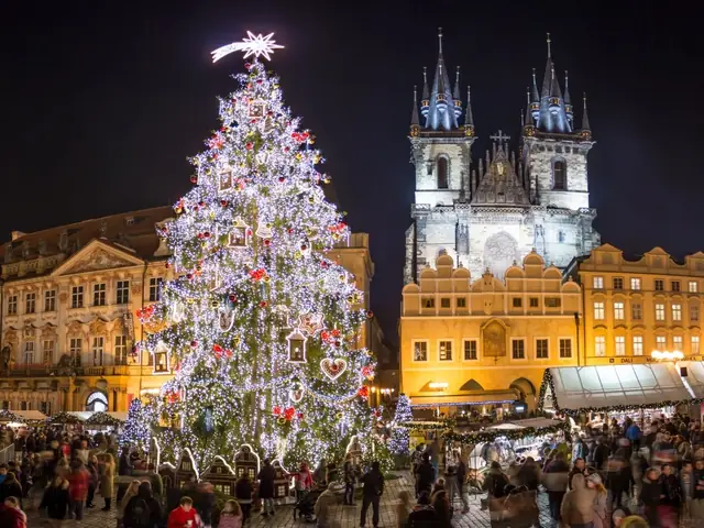 Cây Thông Noel Đẹp Nhất Thế Giới Là Gì? Cây Thông Noel Đẹp Nhất Thế Giới Là Gì?