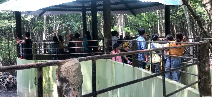 Chiến Khu Rừng Sác Cần Giờ: Hành Trình Về Một Di Tích Anh Hùng