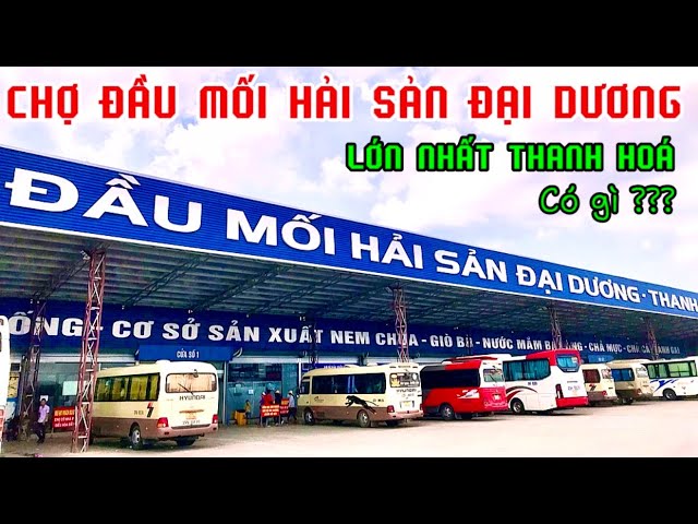 chợ đầu mối hải sản thanh hóa - Hình 2