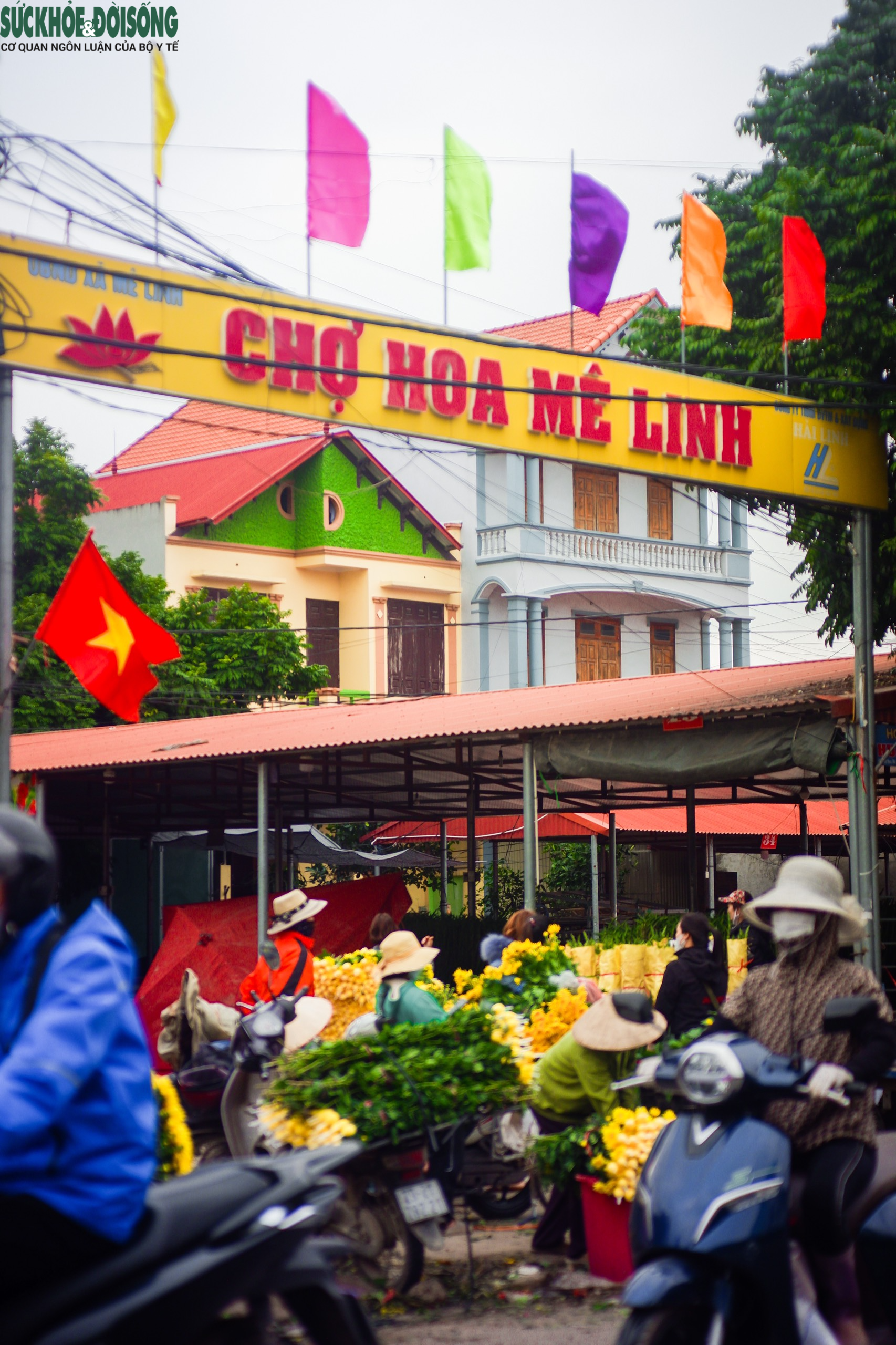 chợ hoa mê linh hà nội - Hình 2