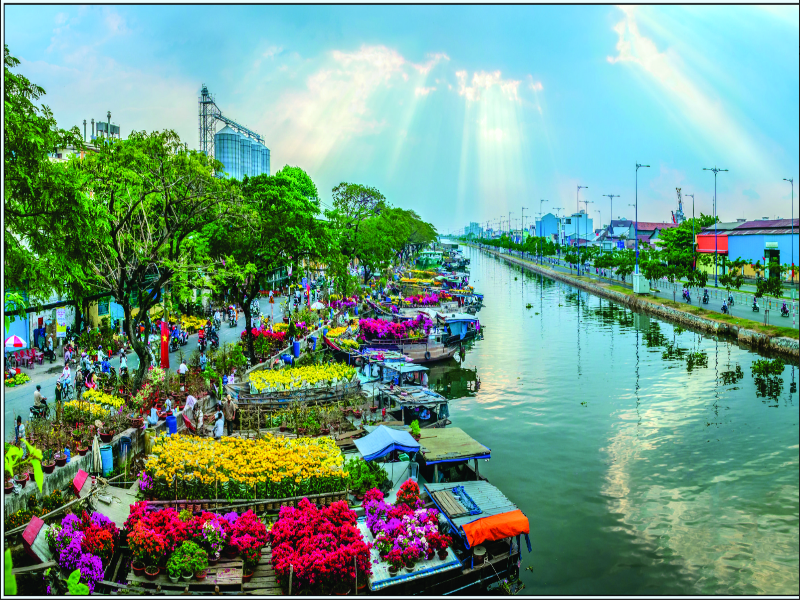 chợ hoa tết bến bình đông - Hình 2