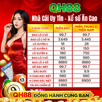 chọn quà miền bắc vào nam - Hình 5