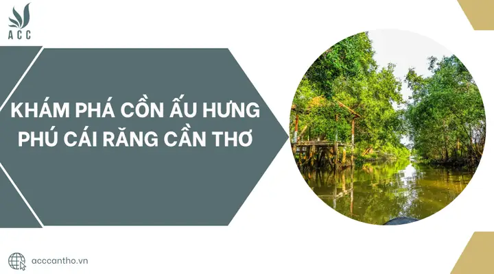 Đánh Giá Cồn Ấu Hưng Phú Cần Thơ: Điểm Đến Du Lịch Sinh Thái Có Đáng Ghé?