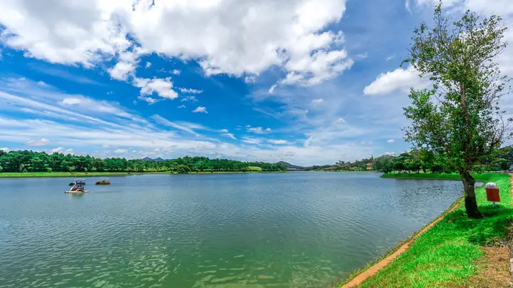 Chợ Đêm Đà Lạt: Địa Chỉ Chi Tiết, Món Ăn Đặc Sắc & Kinh Nghiệm Tham Quan