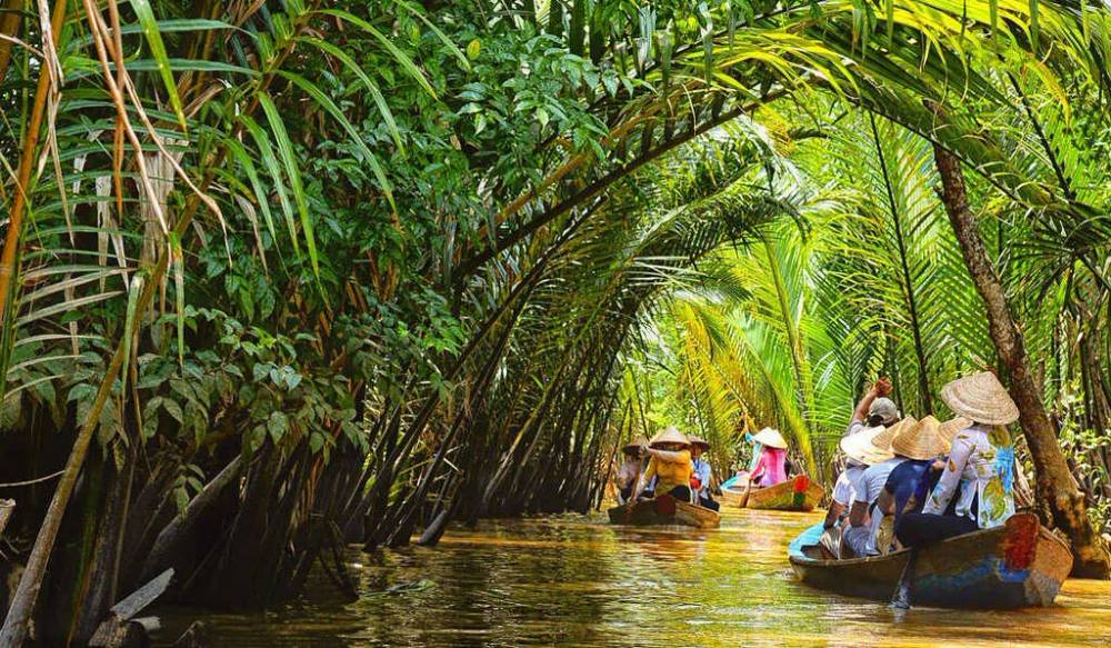 du lịch bến tre tự túc - Hình 4