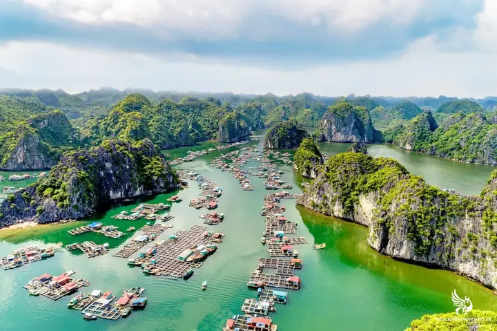 Du Lịch Cát Bà Hải Phòng: Cẩm Nang Trải Nghiệm Đảo Ngọc Vịnh Bắc Bộ