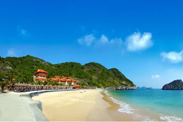 Hướng Dẫn Du Lịch Đồ Sơn Hải Phòng Chi Tiết Từ A Đến Z