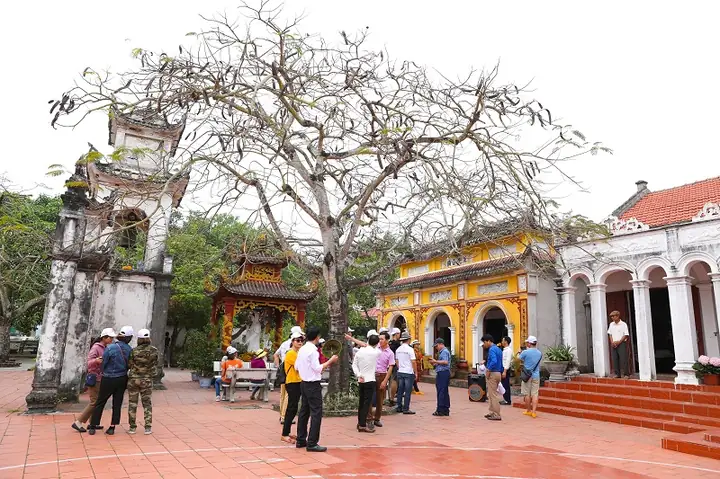 Du Lịch Vân Đồn Quảng Ninh: Cẩm Nang Khám Phá Vùng Đất Mỏ Và Biển Xanh